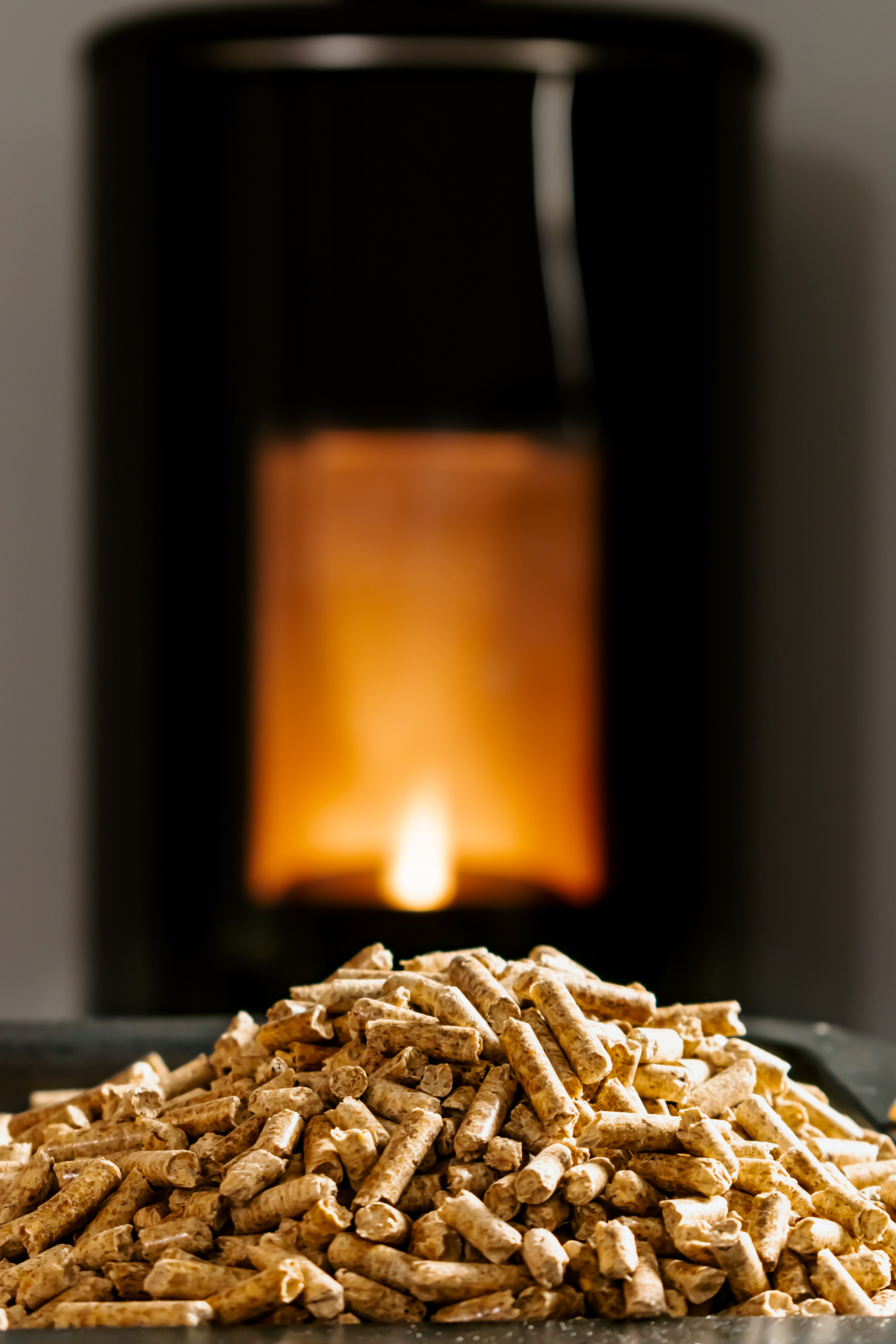 Is A Biomass Boiler Suitable For My Home?